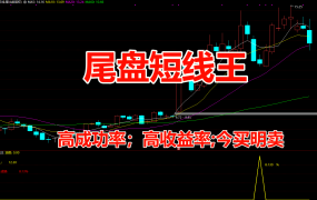 【尾盘短线王】高成功率；高收益率；今买明卖指标
