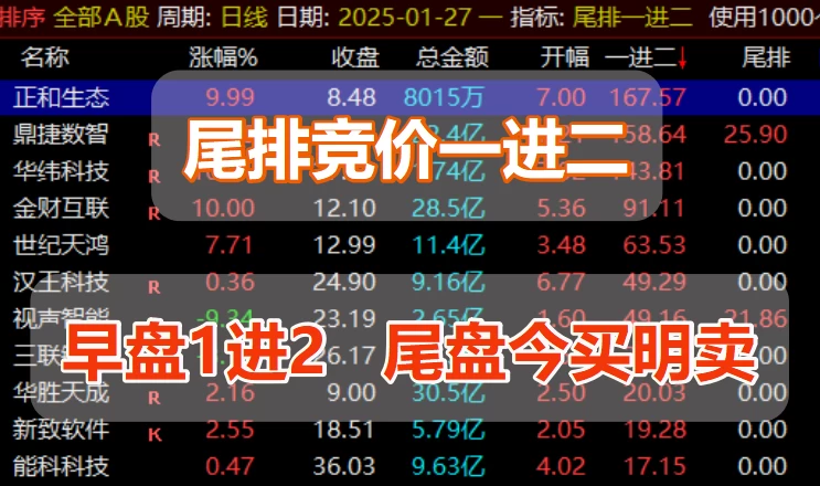 【尾排一进二】尾买明卖高胜率排序指标 尾盘买入 第二天冲高卖出